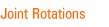 Joint Rotations